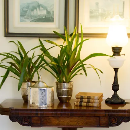 찰렛 폰테 노바 4* 알코바카