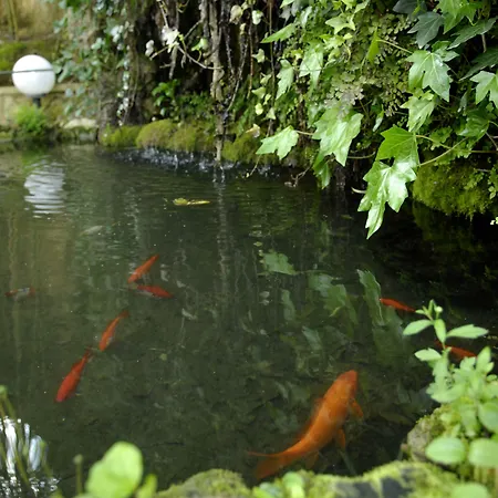 シャレット フォンテ ノヴァ ゲストハウス アルコバサ