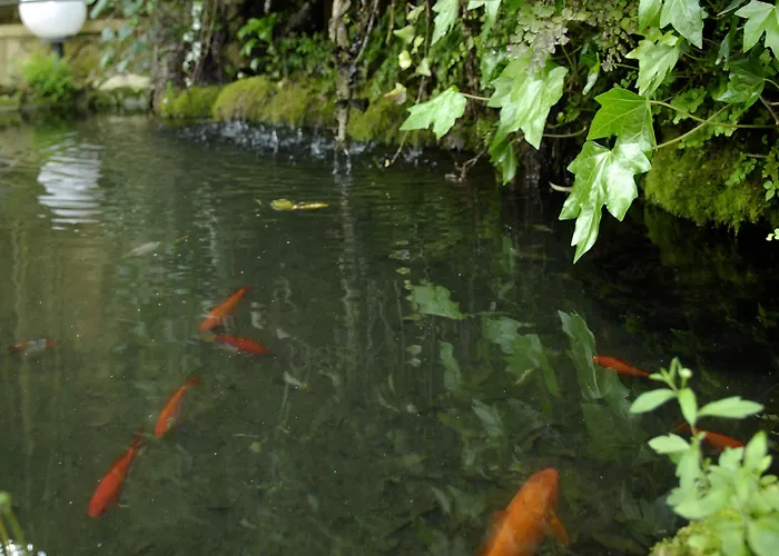 Challet Fonte Nova Pensjonat Alcobaça